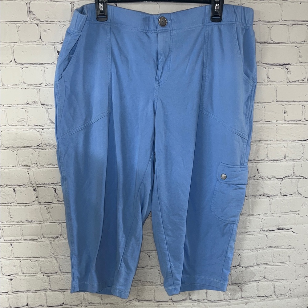 18/20 Cargo Capri by The Avenue. The fabric is similar to sweat shirt material